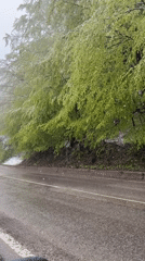 Unusual spring snowfall observed in rural Barziya, Bulgaria