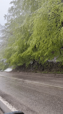 Unusual spring snowfall observed in rural Barziya, Bulgaria