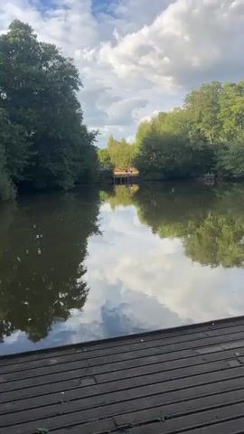 The video shows a wide shot of a lake with lush green trees lining the opposite bank. The sky above is partly cloudy with white cumulus clouds reflecting on the still surface of the water. In the foreground, there is a wooden dock or pier. The overall scene depicts a peaceful, natural environment.