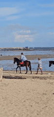 Morning horseback riding captured at Denpasar beach