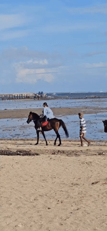 Morning horseback riding captured at Denpasar beach
