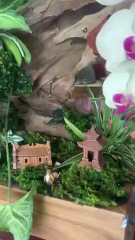 The video shows a close-up of a wooden planter box containing a miniature landscape scene. The planter is filled with green moss, small plants, and miniature buildings resembling a traditional Asian house and pagoda. A small figurine of a person stands near the house. Behind the miniature landscape is a piece of driftwood. White orchids with pink centers are prominently displayed, extending out from the arrangement. The planter sits on a light-colored wooden surface. The camera slowly zooms out to show more of the orchid arrangement.