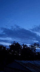 Ukrainian resident documents daily life through sunset and pets