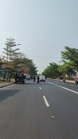 A vertical, first-person perspective video captures a street scene. The camera moves forward along an asphalt road lined with trees on both sides. Several motorcycles are visible, some with riders and some without. A white truck is parked on the left side of the road, and other vehicles are also present. Buildings, appearing to be shops, line the left side of the street. The sky is clear and bright, suggesting daytime. The overall impression is of a moderately busy street in what appears to be a tropical or subtropical climate.