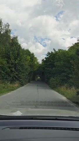 A car is driving down a paved road lined with dense green trees on both sides, forming a natural tunnel effect. The sky is visible through gaps in the foliage, with white clouds against a bright sky. The road appears to be slightly uphill and curves gently into the distance. The view is from the perspective of the driver, showing the dashboard in the foreground.