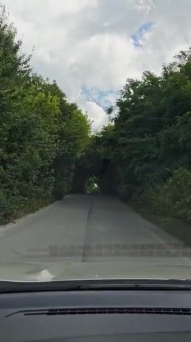 Tree-tunnel road drive through Illintsi, Ukraine