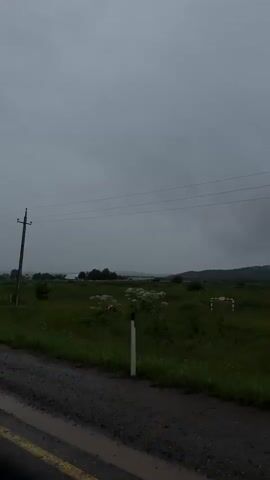 The video shows a view from a vehicle traveling along a dirt road in a rural area. The sky is overcast and gray, suggesting a cloudy or rainy day. The landscape is predominantly green with fields of grass and some scattered trees. A power pole with wires runs across the frame, indicating the presence of infrastructure. In the distance, there appear to be some buildings or structures, possibly farms or houses. The road itself is wet and muddy, with a yellow line painted on the side, suggesting it is a road with traffic. The overall mood of the video is somber and a bit bleak due to the weather. There is no visible text in the video. The location is identified as Gory, Russia.