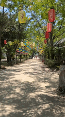 Festively decorated tropical beach venue with lanterns and garlands