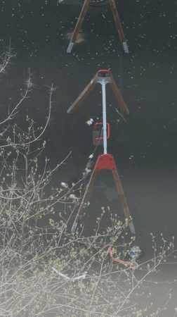 Girl plays with toys alongside pet parrot in Khimki home