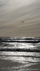 Tourist captures Deauville's beach, architecture, and gardens during evening