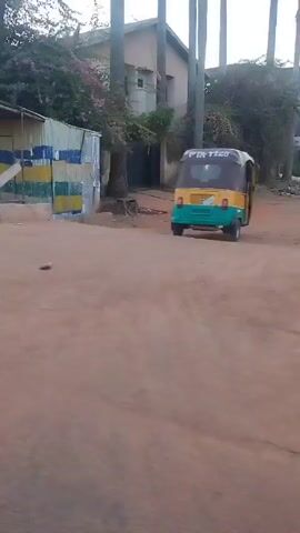 The video shows a moving shot from a vehicle on a road, panning across buildings and foliage. The road is an unpaved dirt road with a concrete curb running along its edge.  There is a small, colorful corrugated iron structure next to an earthen building with a fence at the start of the video.  As the vehicle moves, the camera pans across a series of buildings with walls and some vegetation growing on the structures, including bougainvillea.  Tall palm trees and telephone poles are visible along the roadside. The sky is overcast, and the light is muted.