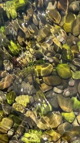 The video shows clear water flowing over rocks and shells on the bottom, and then it pans upward to reveal the calm surface of the water under a blue sky with white clouds.  In the distance, the shoreline can be seen with some buildings and a hilly landscape.