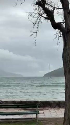 The video shows a seascape on a cloudy day, featuring a tree branch in the foreground and a sailboat in the distance. The camera gradually zooms in on the sailboat, which is positioned between two landmasses. In the bottom left of the frame, there's a park bench with wet surfaces. The sky is overcast with heavy, gray clouds.
