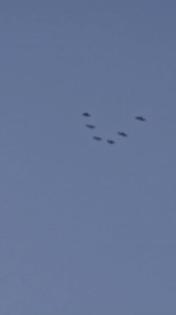 Birds and sunset clouds over Latvia on a late summer evening