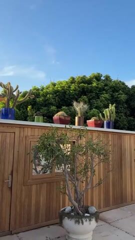 The video pans across a backyard area featuring a wooden fence adorned with potted cacti on top. In front of the fence are two potted trees. To the right, there is a small gazebo with a dark roof. The ground is paved with square tiles interspersed with smaller stones. The sky is clear and blue with a few wispy clouds. The camera continues to pan, revealing another similar gazebo to the right of the first one. Lush green foliage and trees surround the area.