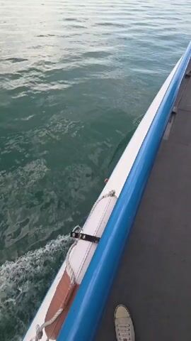 A first-person perspective video shows a boat moving through water. The camera is angled downwards towards the water and the side of the boat. A white life preserver with an orange stripe and rope is visible attached to the side of the boat. The water is a greenish-blue color and shows a white wake. In the distance, a shoreline with buildings and trees can be seen. The sky appears overcast.