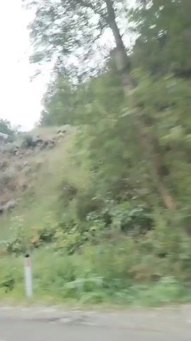 The video displays a mountain landscape with a cloudy sky. The terrain is characterized by a steep, rocky slope covered in sparse vegetation, including bushes and grasses. Trees are scattered across the hillside, with some appearing to be larger evergreens. In the foreground, a dirt or gravel road is visible, suggesting the video was filmed from a moving vehicle. There are no people or animals visible in the footage. The overall impression is of a rugged, natural environment experiencing overcast weather.