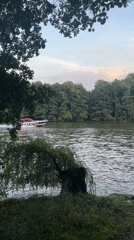 Lakeside park scenes: calm water, wildlife, and a domed church