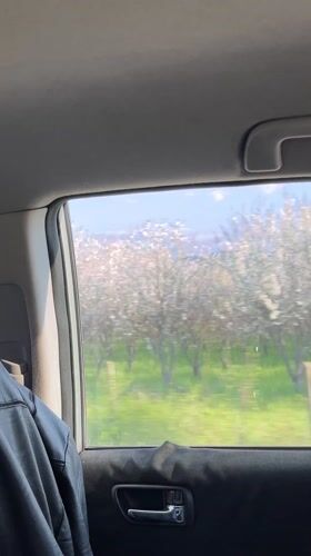 Spring car journey documented through blooming Bulgarian countryside