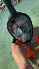 Woman snorkeling in shallow Egyptian coastal waters