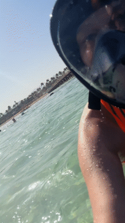 Woman snorkeling in shallow Egyptian coastal waters