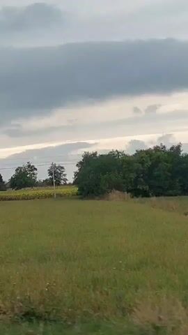A slightly shaky video shows a landscape with a cloudy sky. The foreground consists of green grass and some bushes. In the midground, there are fields of grass, some trees, and possibly a crop field. A power line runs horizontally across the frame. The overall impression is of a rural, outdoor environment on an overcast day.