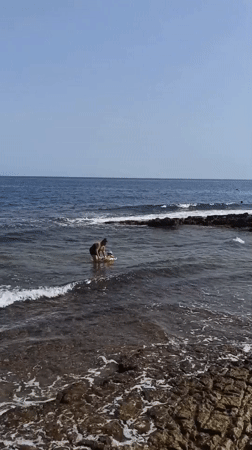 Summer morning at Molfetta's rocky shore