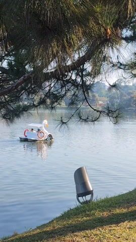 The scene opens with a serene view of a calm lake, framed by the drooping branches of a pine tree.  A white swan-shaped paddle boat glides across the water, carrying what appears to be a few people on board. The boat is equipped with orange life buoys. In the foreground, on the grassy bank, a grey cylindrical light fixture stands firmly in the ground.  The background reveals a distant view of buildings and lush trees, adding depth to the landscape under a bright, clear sky.  The scene has a tranquil and idyllic feel.