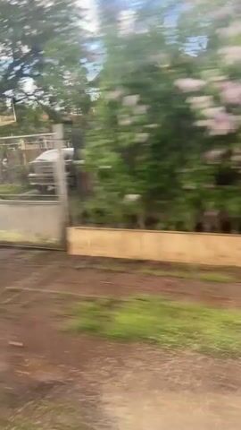 The video captures a view from a moving vehicle, showing a roadside scene in Zhiten, Bulgaria. The camera pans across a landscape characterized by fences, lush green foliage from trees and bushes, and various buildings or houses in the background.

At the beginning, a green and a white trash can are visible next to a fence. As the camera moves, it passes by a chain-link fence, behind which there are more trees and what appears to be a large, colorful object, possibly a covered container or vehicle. The ground alongside the moving camera is a dirt or gravel path. The sky is partly cloudy, indicating daytime. No people are visible, and there is no discernible text in the video.
