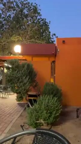 Here is a detailed description of the video:

The video presents an outdoor patio scene with a clear, twilight sky overhead. In the foreground, a portion of a black wicker chair is visible, suggesting the viewpoint is from a seated position. The patio is paved with red bricks that form a herringbone pattern. 

To the right, a bright orange wall dominates the frame. On top of this wall, there's a maroon overhang. A light fixture is mounted on the wall, casting a warm glow over the scene.

In front of the orange wall, there are two small, round evergreen bushes. A tree with sparse foliage is situated behind the bushes, its branches reaching towards the sky. In the background, tables and chairs suggest an outdoor dining area. String lights are also visible, adding to the ambiance. 

The scene appears to be peaceful and tranquil, possibly at a restaurant or café during the early evening hours.