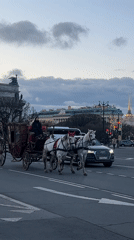 Horse carriages, monuments, photoshoots documented in central Saint Petersburg