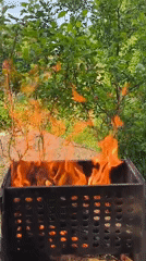 Afternoon barbecue gathering captured with flames, flowers, relaxation