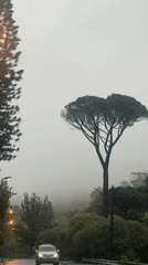 Dense fog reduces visibility on Cape Town roads