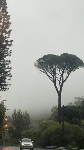 Dense fog reduces visibility on Cape Town roads