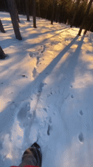 Winter hike documented through selfies in Ust-Ilimsk forest