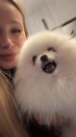 Blonde woman documented through evening activities with Pomeranian dog