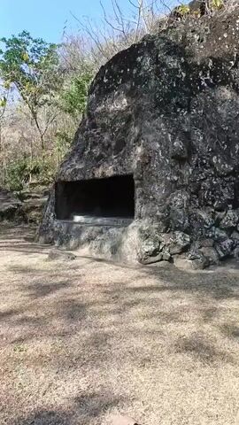 The video shows a panoramic view of a rocky cliff face with several openings carved into it. The rock appears dark and rough, with patches of moss and lichen. The openings are rectangular and recessed into the rock, suggesting they might be man-made structures or natural formations that have been modified. The ground in front of the cliff is covered with dry grass and fallen leaves, and there are some trees and vegetation on the upper part of the cliff. The sky is clear and blue, indicating a sunny day. The camera pans slowly from left to right, offering a full view of the cliff face and its openings. The lighting is natural and bright, casting shadows on the ground and highlighting the textures of the rock. There are no people or animals visible in the video. The overall impression is one of an ancient, possibly archaeological site in a natural setting.