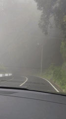 Driver encounters heavy fog on winding road in Santana