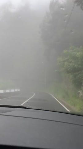 The video shows a driver's perspective of a winding road enveloped in heavy fog. The road surface is dark, with clear white lane markings. Trees line the road, though obscured by the dense fog. A street light is visible on the right side of the road. A triangle road sign is also present. The car's dashboard is visible at the bottom of the frame.