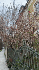 Quiet afternoon moments across Munich neighborhoods and transit