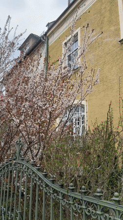 Quiet afternoon moments across Munich neighborhoods and transit