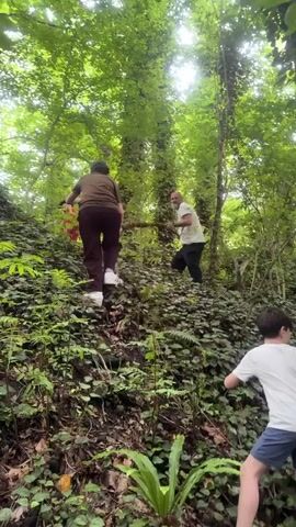 A man in a white t-shirt, dark brown pants, and white shoes climbs up a steep, leafy incline, holding onto branches for support. A man in a light green t-shirt and dark pants follows him, holding a branch. A boy in a white t-shirt and dark shorts is at the bottom of the incline, also attempting to climb up. The area is covered in lush green foliage and trees.