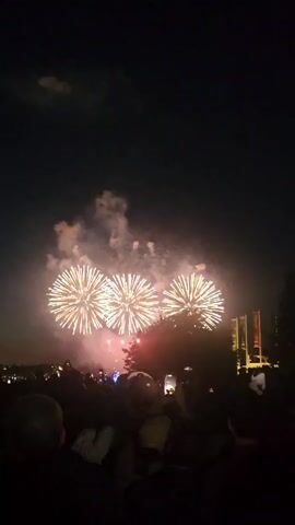 The video shows a nighttime fireworks display with a dark sky. Three large, golden fireworks are exploding in the center of the frame, with pink and white smoke. Below the fireworks, a crowd of silhouetted people are visible, many holding up their phones to record the event. In the foreground, the backs of people's heads are visible, suggesting they are seated or standing and watching the display. Trees and buildings are faintly visible in the background. The lighting is dominated by the bright bursts of the fireworks.