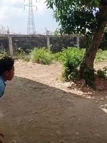 A person in a blue shirt and pants is running around a tree. There is a building with a red roof and a brown door. There are also some plants and a water tank in the background. The ground is made of dirt and there are some shadows on the ground.