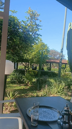 Cafe dining and garden fountain scenes captured in Morocco
