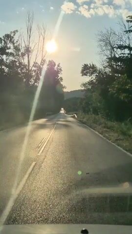 A forward-facing, low-angle shot captures a view from inside a vehicle driving down a paved road. The sun shines brightly through the trees on the left side of the road, creating lens flare effects that streak across the frame. The road is lined with guardrails and trees, with a gentle hill visible in the distance. The sky is a clear blue with scattered white clouds.