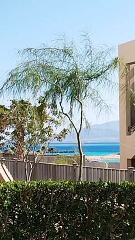 The video shows a sunny, clear day with a partial view of a body of water. A lighter blue sea is bordered by tan sand. Mountains can be seen in the background. A few trees are in view, with one in the center having long drooping branches. A green hedge and fence run along the lower part of the frame, with part of a building visible on the right.