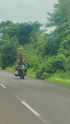 The media file depicts a motorcycle carrying three people and a wooden structure on a paved road, bordered by lush green foliage. The motorcycle appears to be moving forward. The subjects are two individuals riding on the motorcycle, with a third person possibly seated behind them. They are all wearing masks, suggesting a health-conscious approach or adherence to regulations. A prominent wooden frame, possibly a ladder or a makeshift support structure, is secured to the rear of the motorcycle and extends upwards. The scene is set in a rural or semi-rural environment, indicated by the abundant vegetation and the relatively undeveloped road. The lighting suggests it could be daytime, possibly overcast, given the diffused light and muted colors. The overall impression is one of resourceful transportation, with individuals utilizing their motorcycle to carry a significant object through a natural landscape. There is no visible text in the media file.