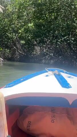 The video shows the bow of a boat moving through a narrow waterway. The bow is white with a blue trim. A white rope is tied at the front of the boat. The water is murky. Dense vegetation lines the banks of the waterway. A sign that reads "CANAL DE DULCE AMOR" is visible among the trees.
