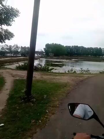 A first-person perspective video shows a person riding a motorcycle on a paved road. On the left side of the road, there is a body of water that appears to be a lake or pond with some vegetation growing in it. In the background, there is a line of trees and a cloudy sky. The rider's hand is visible on the handlebar, and their reflection can be seen in the motorcycle's rearview mirror. The video captures a serene and natural landscape.